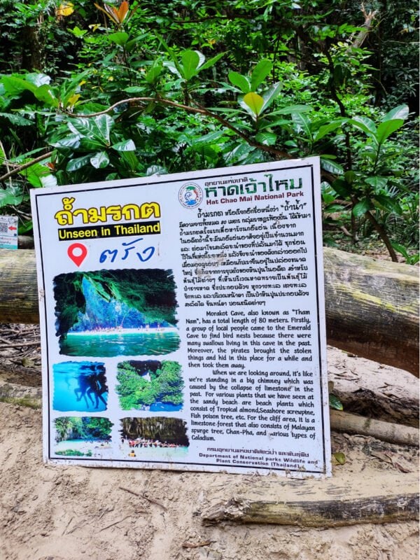 Information board inside the Emerald Lagoon on Koh Mook, placed in the jungle next to the log