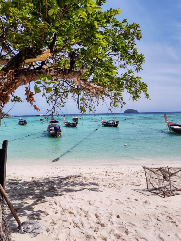 Tree in the foreground, white sandy beach, and boats on Koh Lipe Sunrise beach; small, green islands in the horizon.