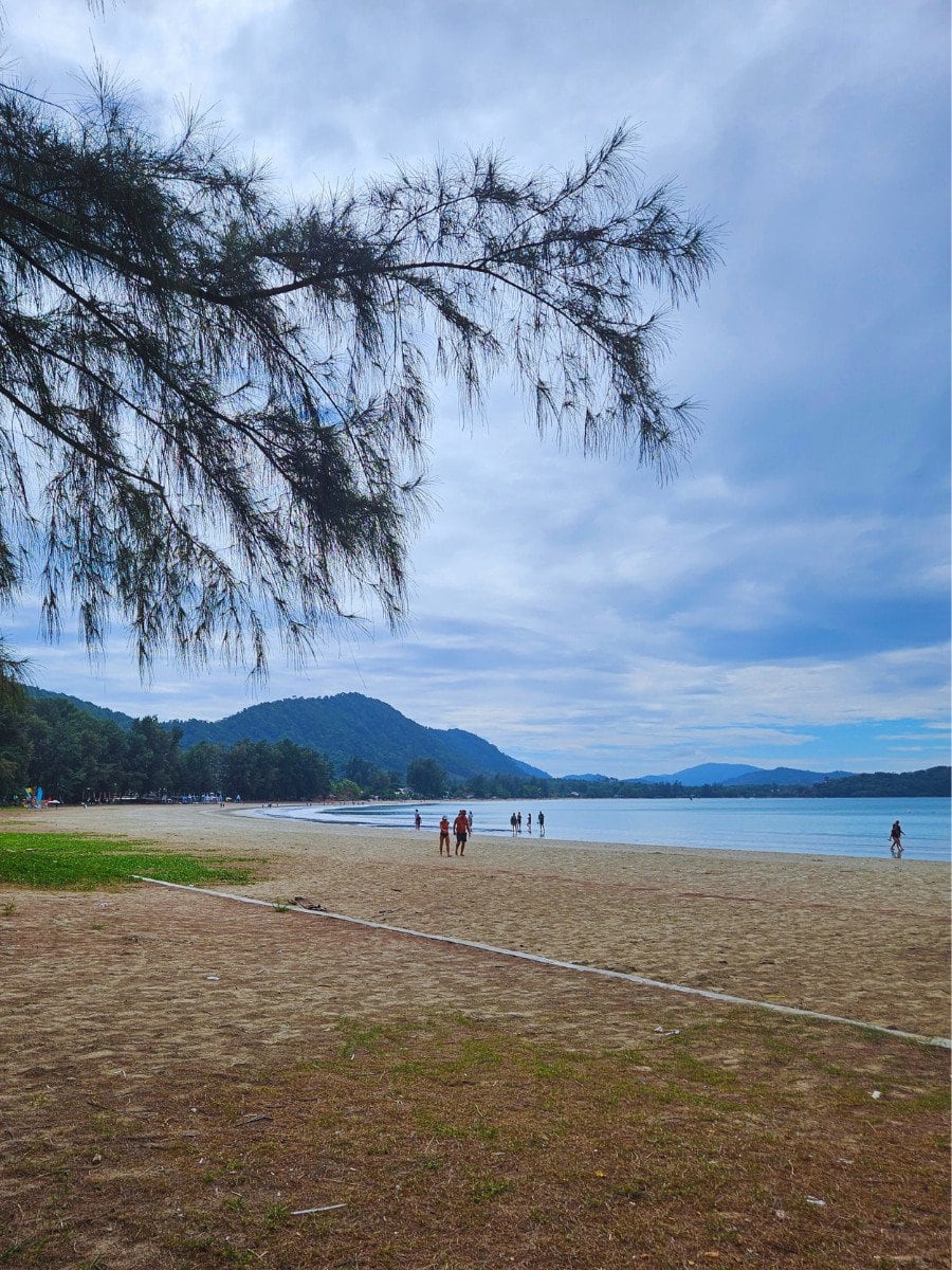 Tree, people walking on the beach, mountains in the distance