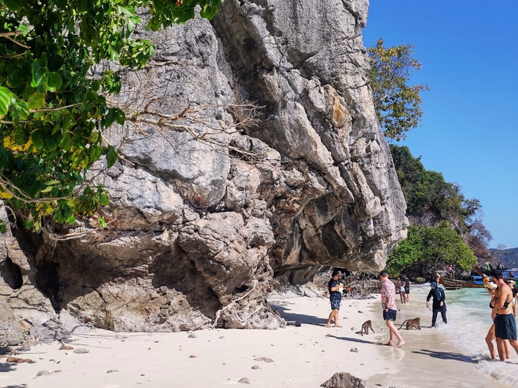 Monkey beach at Koh Phi Phi, people taking picture of the monkeys