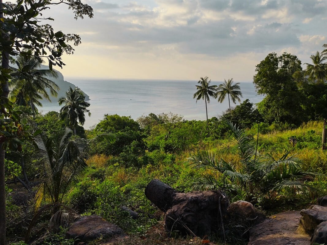 Koh Phi Phi viewpoint, trees and mountains in the distance