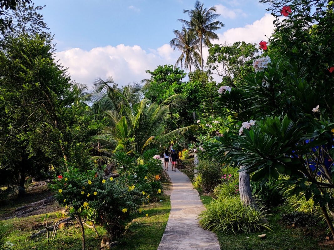 path through to garden to the viewpoint on Koh Phi Phi
