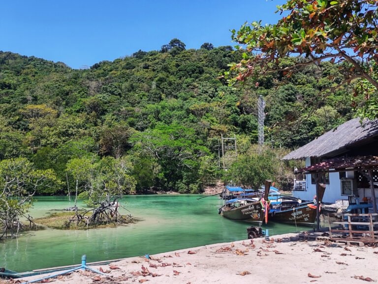 Koh Phi Phi river and mangrove forest near the Loh Ba Kao Bay