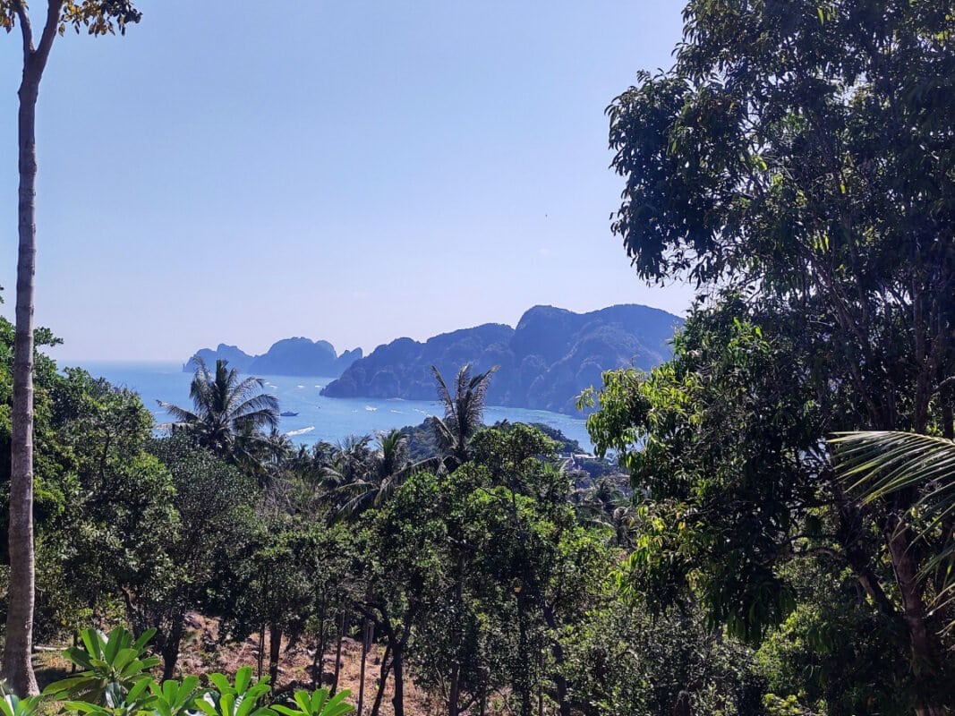 Koh Phi Phi viewpoint, palm trees, mountains in the distance