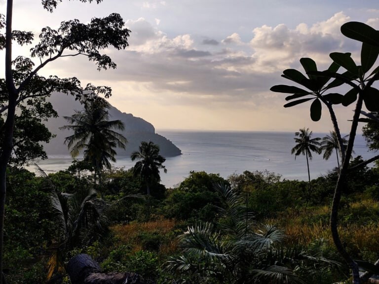 Koh Phi Phi viewpoint, trees and mountains in the distance