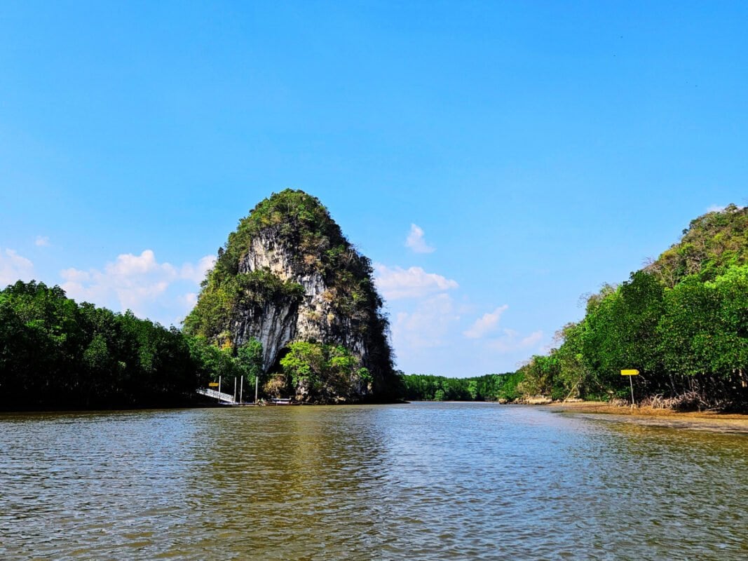 Lime stone cliff and mangrove forest Krabi Town