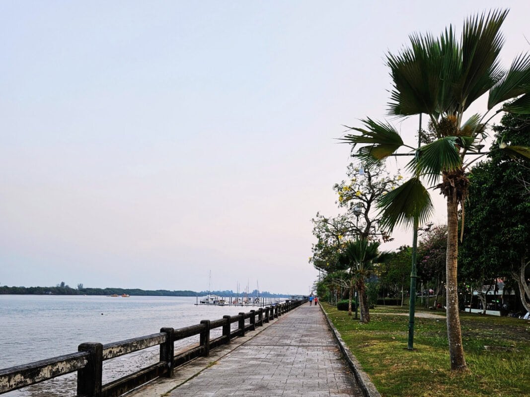 Palm trees by Krabi river