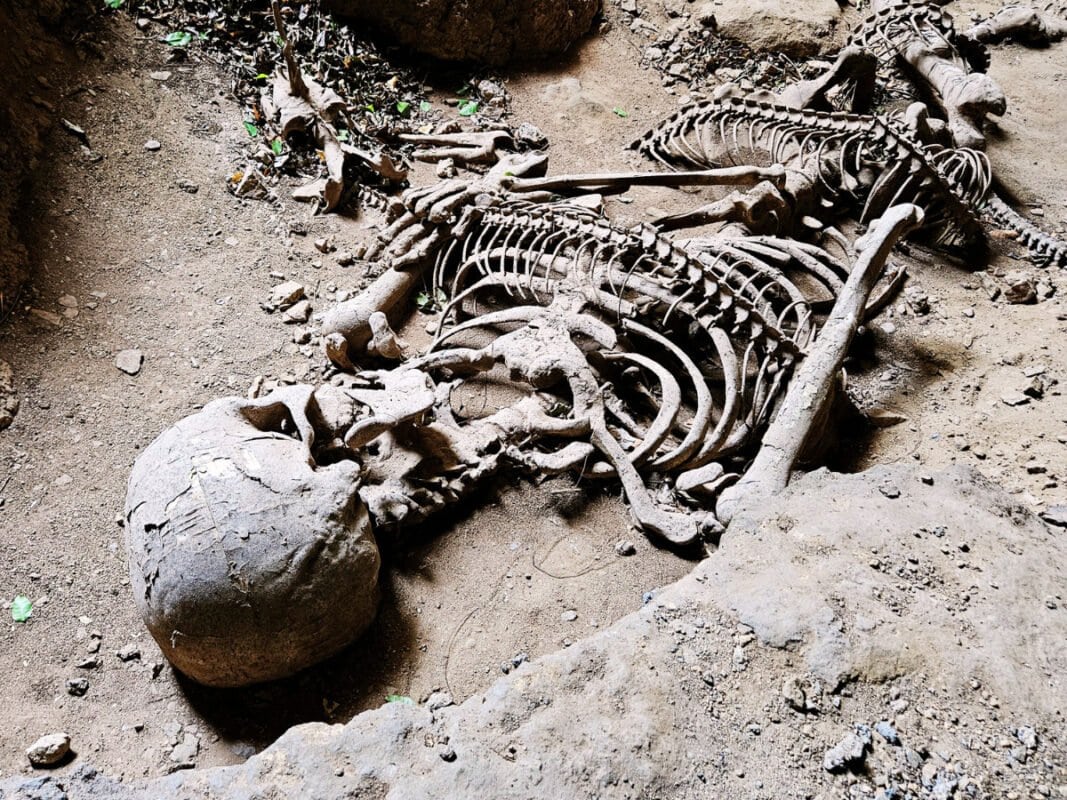 Skeleton lying in Khao Khanab Nam Cave Krabi Town