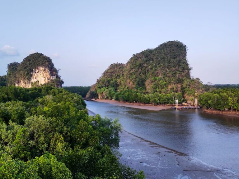 View of the cliffs from the tower in mangrove forest near Krabi town