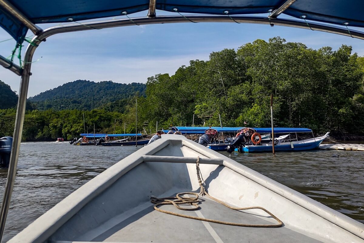 Point-of-view shot from the bow of a boat navigating a wide river lined with thick green mangroves.