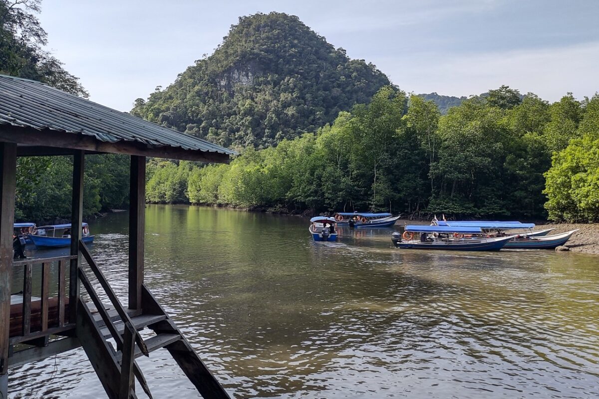 View from a wooden jetty looking out at blue boats moored in a calm river surrounded by mangroves.