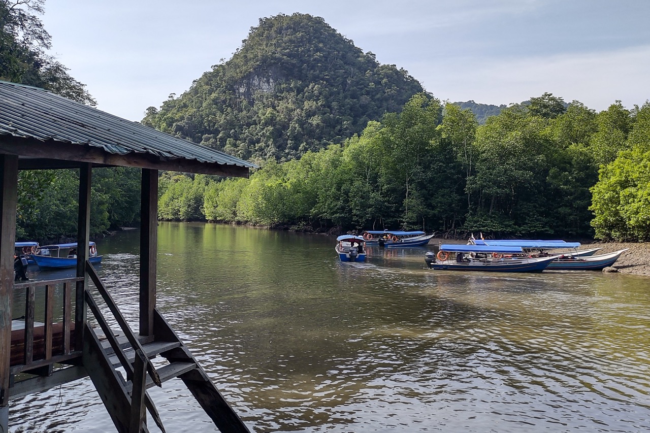 View from a wooden jetty looking out at blue boats moored in a calm river surrounded by mangroves.