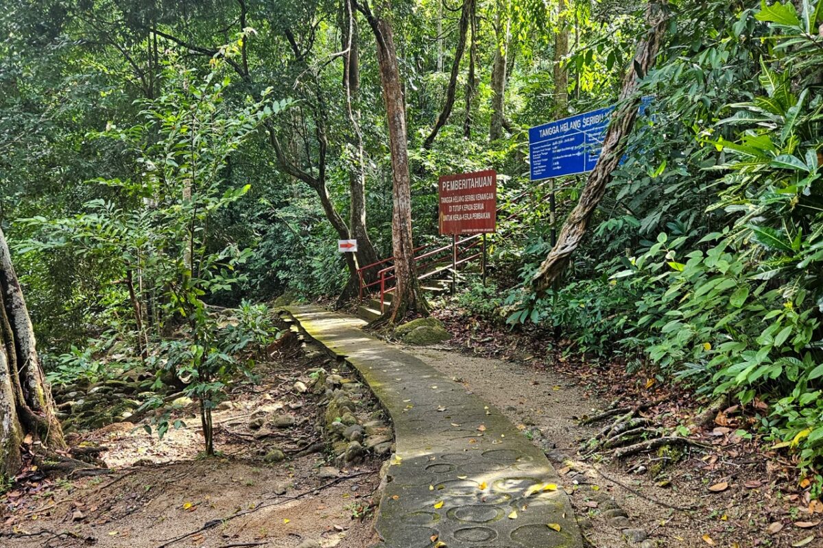 Shaded forest path with blue and red information signs leading toward a hiking trail.