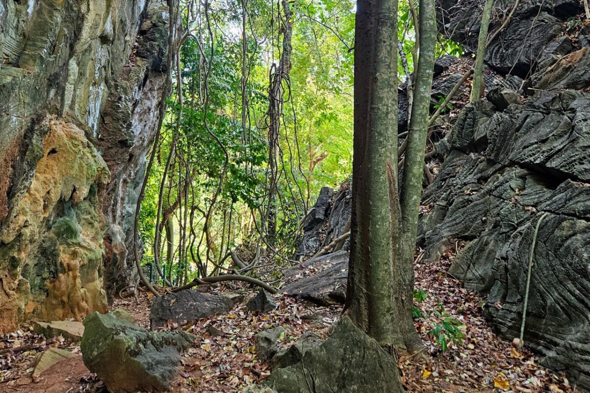 Trail and rock formations near Bukit Kecil Fold geosite on Pulau Tuba