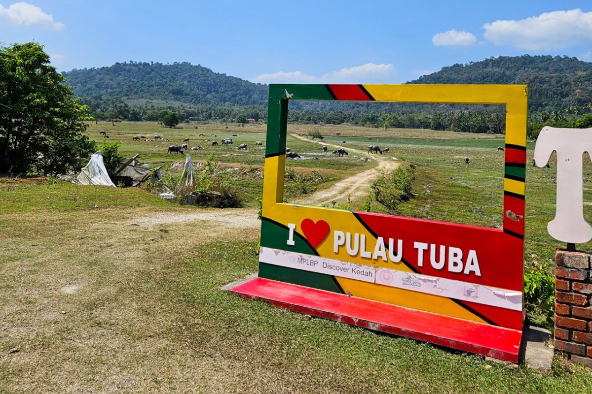 I Love Pulau Tuba sign overlooking buffalo fields