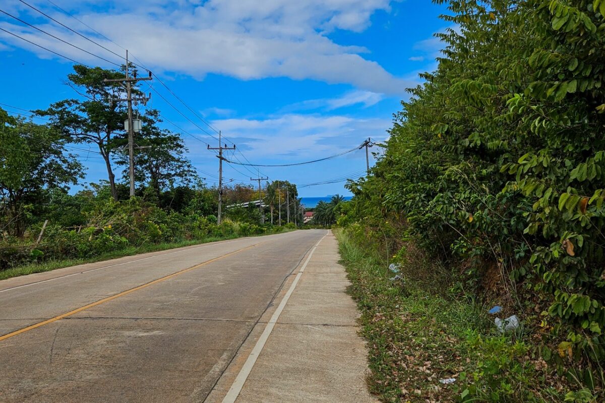 Scenic road on Koh Lanta island surrounded by tropical vegetation in southern Thailand