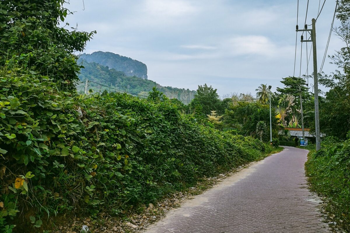 Quiet jungle road on Koh Mook island with limestone cliffs and tropical vegetation in southern Thailand