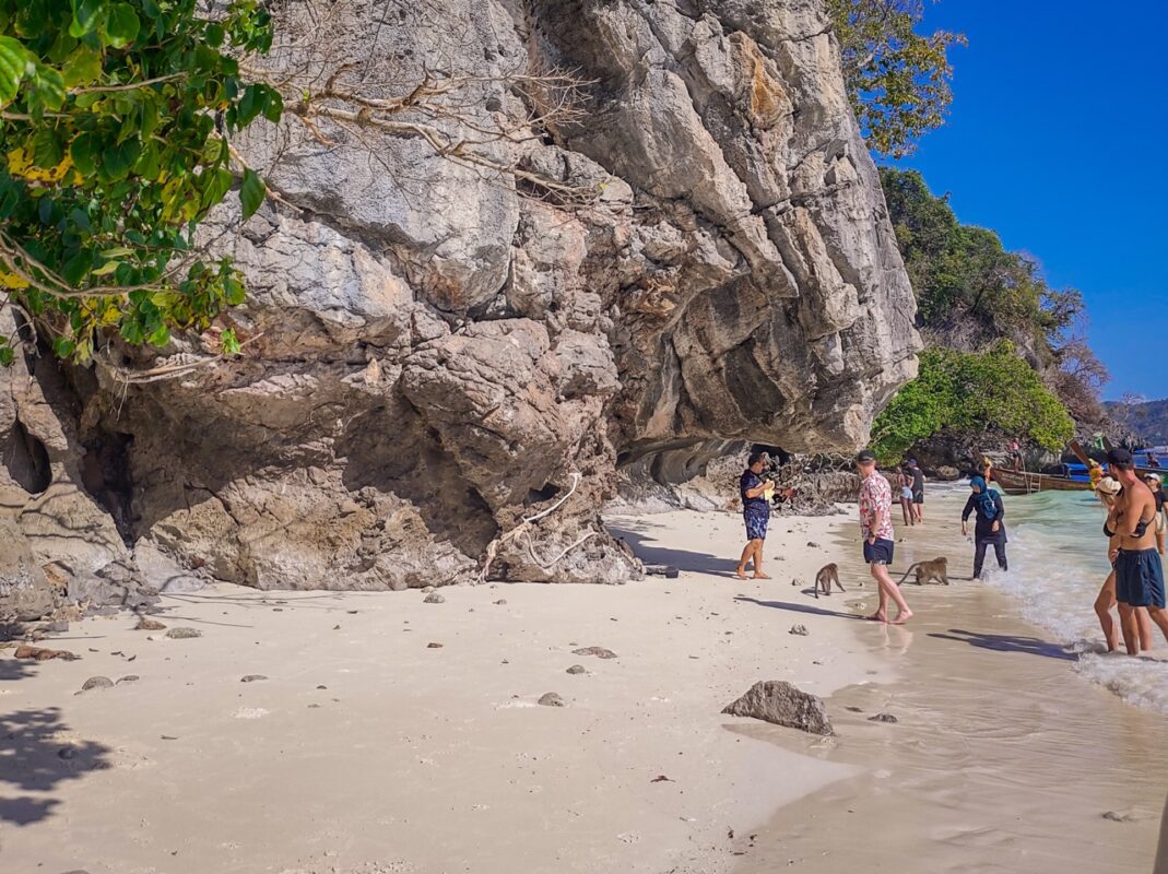 Monkey Beach Koh Phi Phi monkeys white sand beach limestone cliffs Thailand