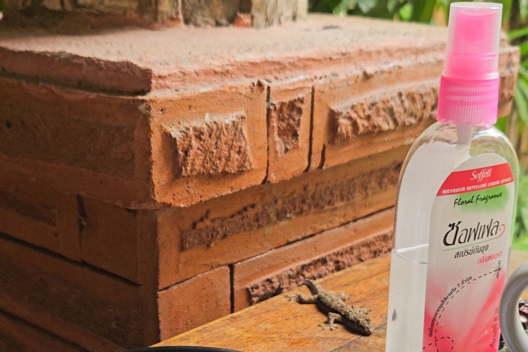 mosquito repellent Thailand islands why you need insect spray