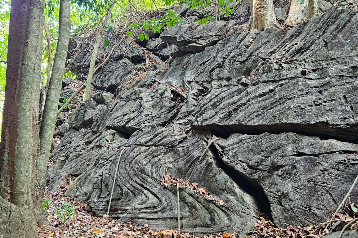 Folded sedimentary rock formations along Teluk Berembang Geotrail Pulau Tuba